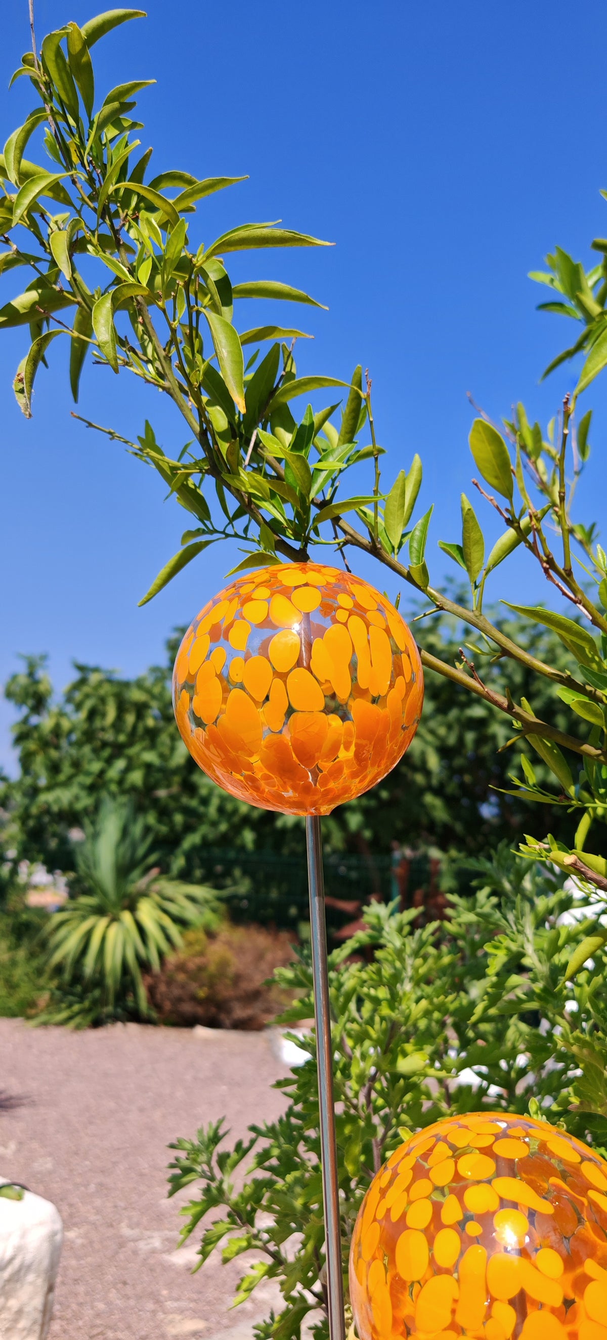 Orange Opaque