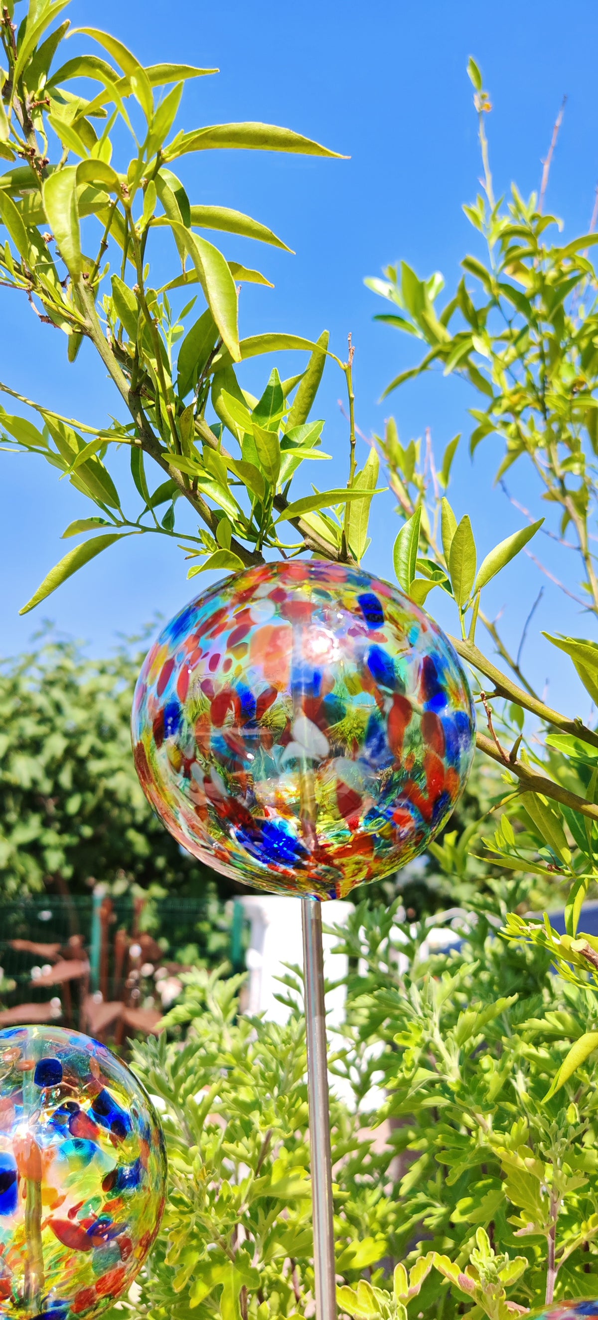 Multicolore