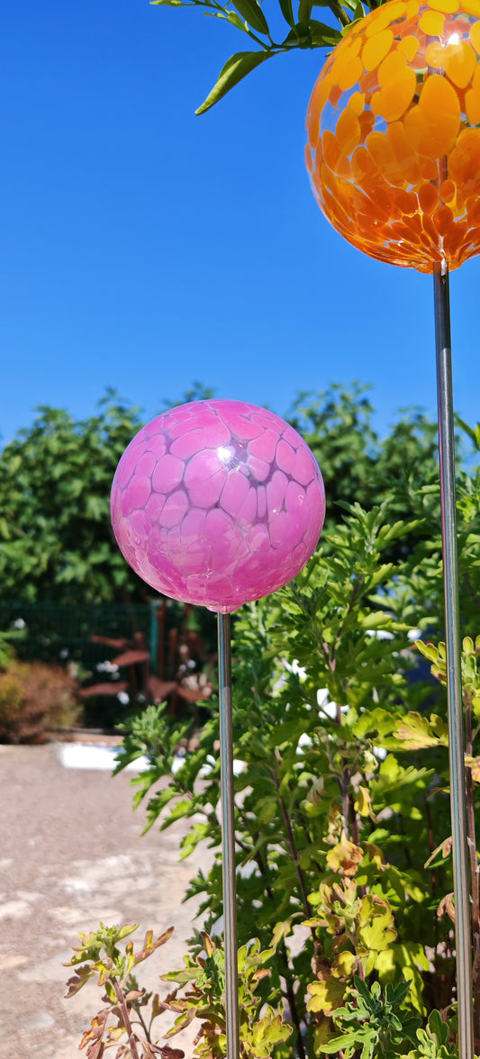 Rose Opaque