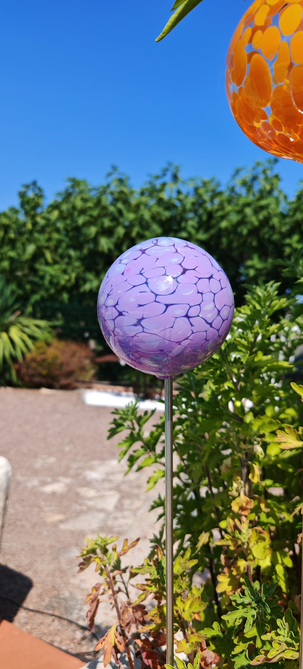Violet Opaque