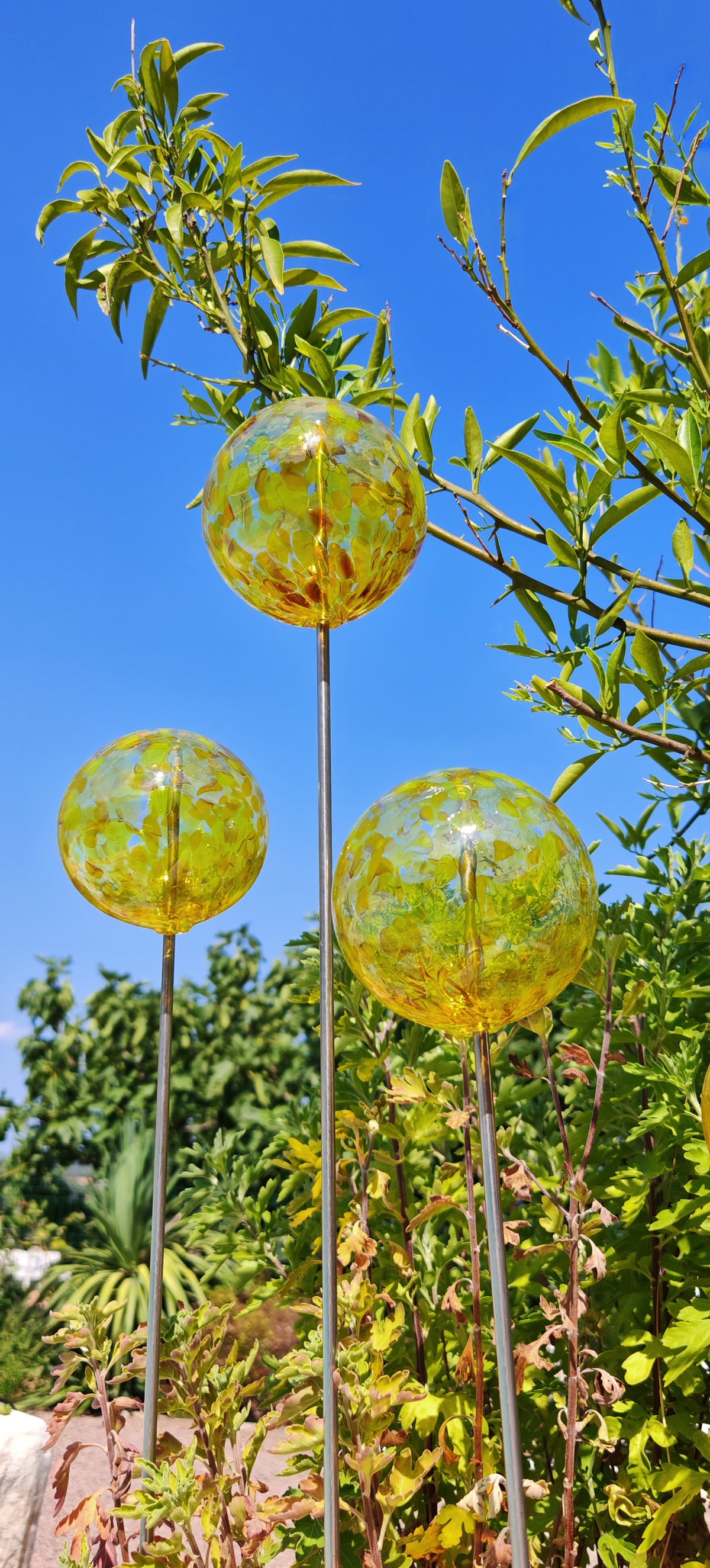 Jaune Mélange