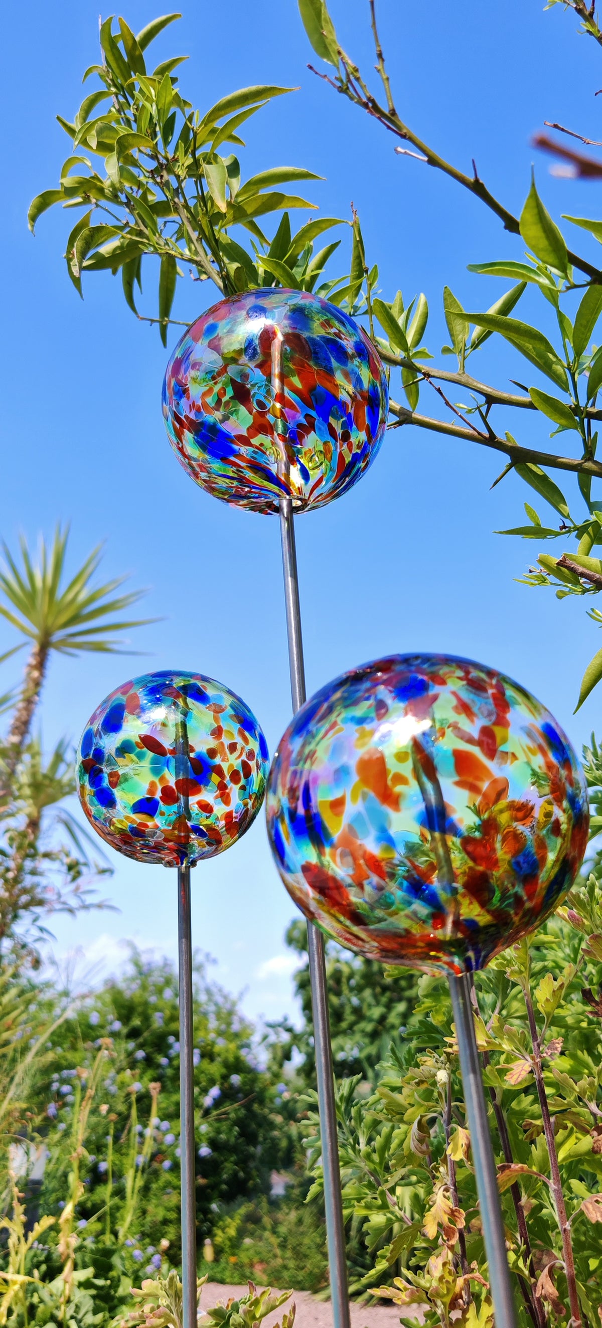 Multicolore