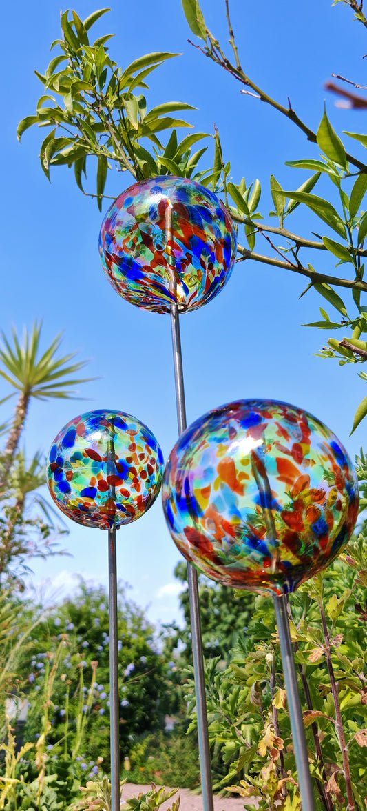 Multicolore