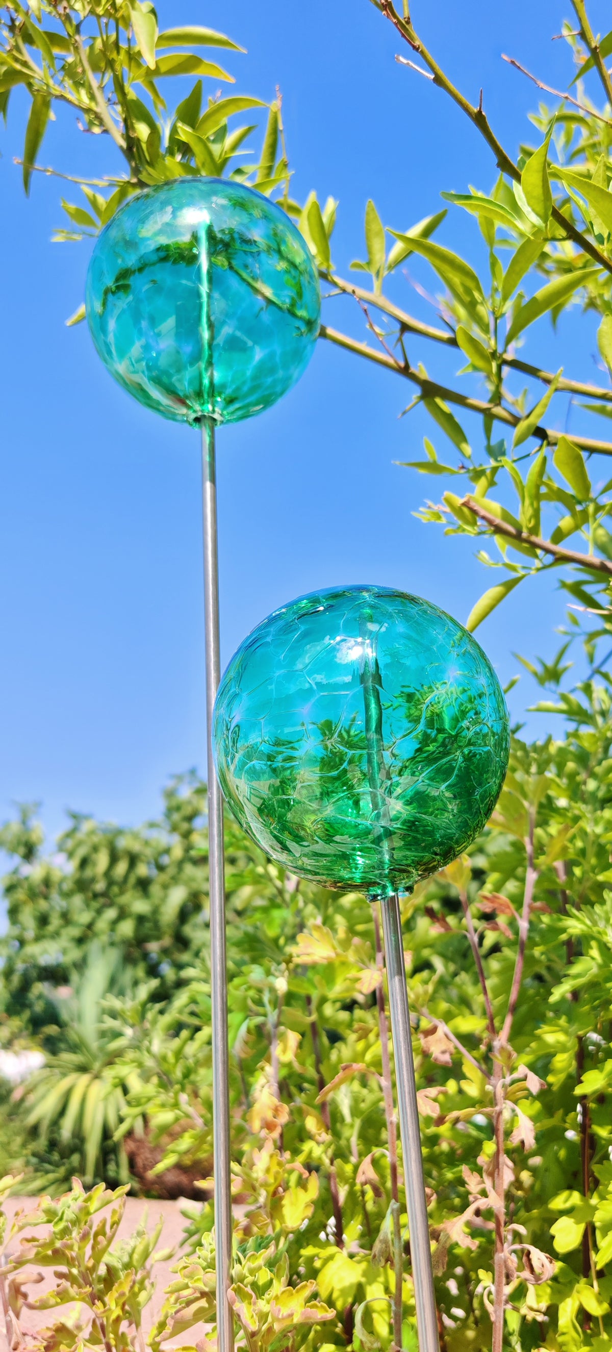 Vert